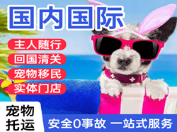 金湾机场托运国际宠物托运 【国